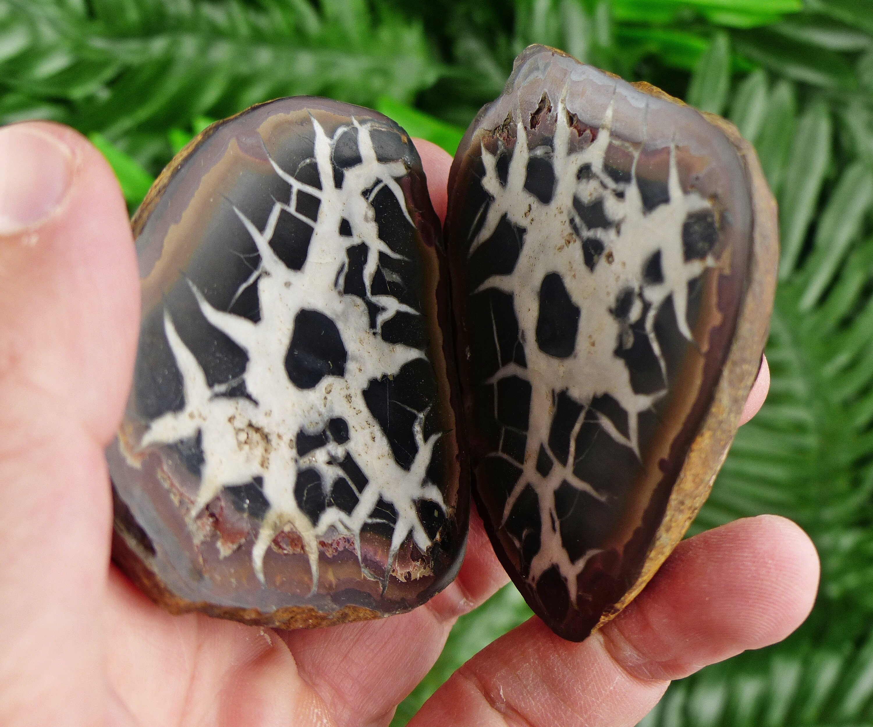 Septaria Geode Dragonstones Pair, Septarian Nodule Geode, Septaria, Dragonstone ...