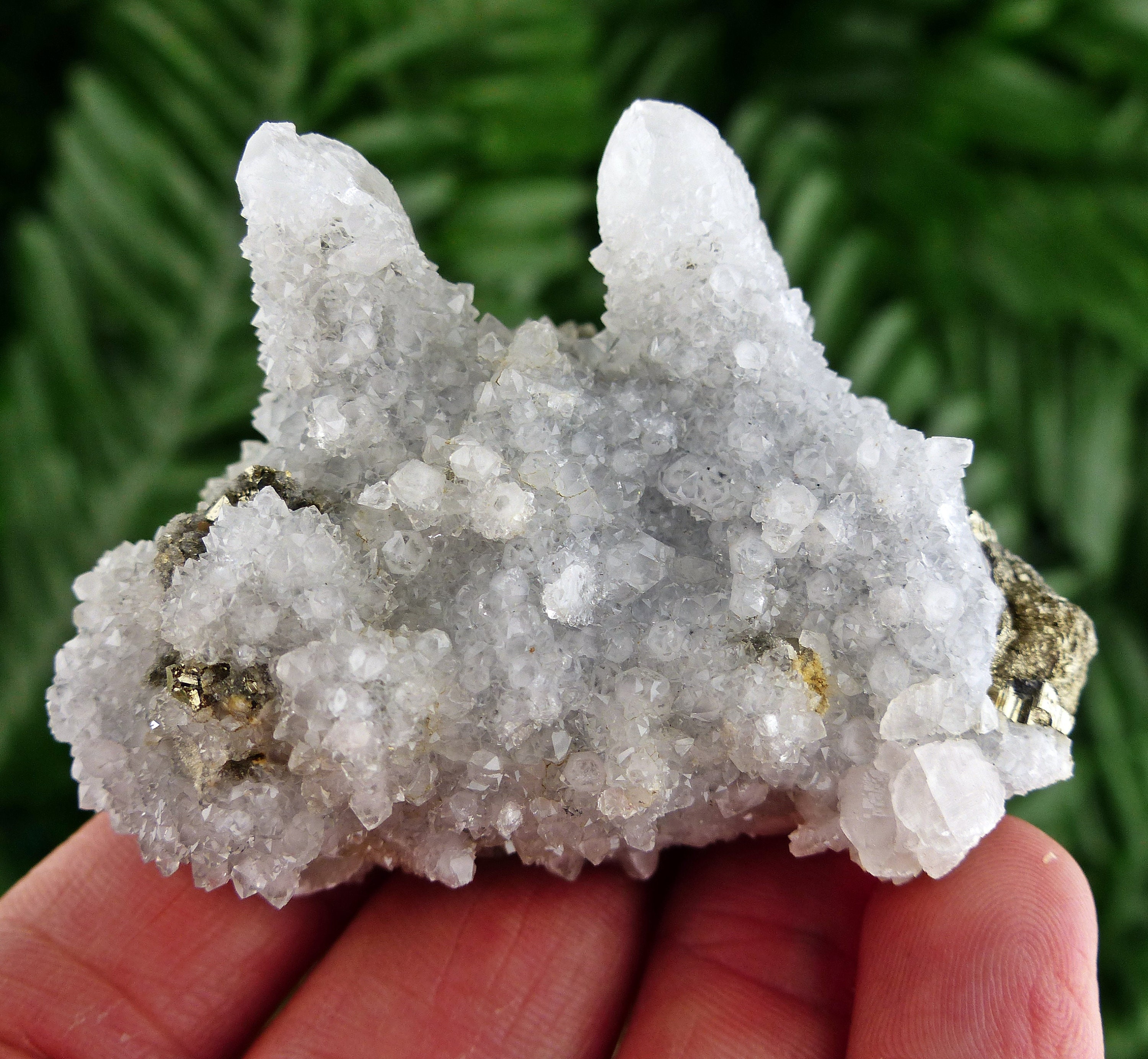 Milky Courts Rocks Is Milky Quartz Sedimentary Rocks Raw Natural Milky Quartz Loose