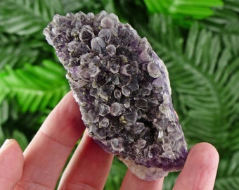 Amethyst with Pyrite, Purple Crystals, Mineral, Raw Crystals, Healing Crystals and Stones, Pyrite, Amethyst B1055