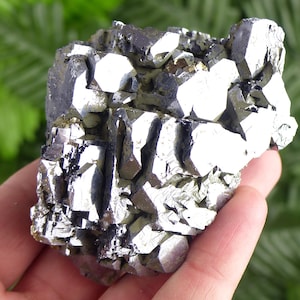 Shiny Rare Skeletal Galena with Chlorite, Raw Crystal, Natural Mineral, Healing Crystal, Spirituality Crystal  S18