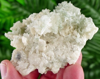 現在、この商品の在庫はありません - Etsy