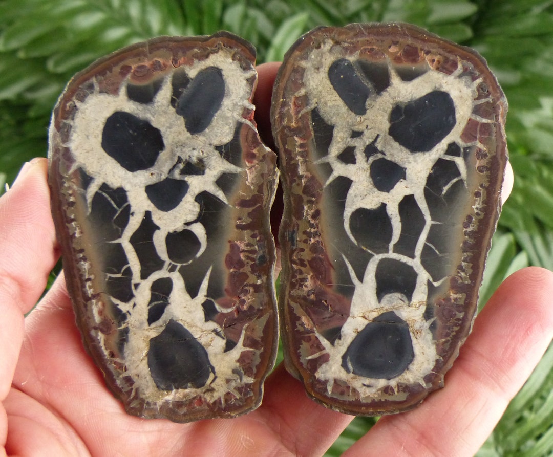 Rare Dragonstones Pair, Septarian Nodule Geode, Septaria, Dragonstone ...