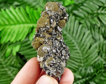 Sphalerite Cleiophane, Galena, Pyrite, Raw Crystal, Natural Mineral, Healing Crystal, Mineral Specimen, Krushev Dol Mine Bulgaria