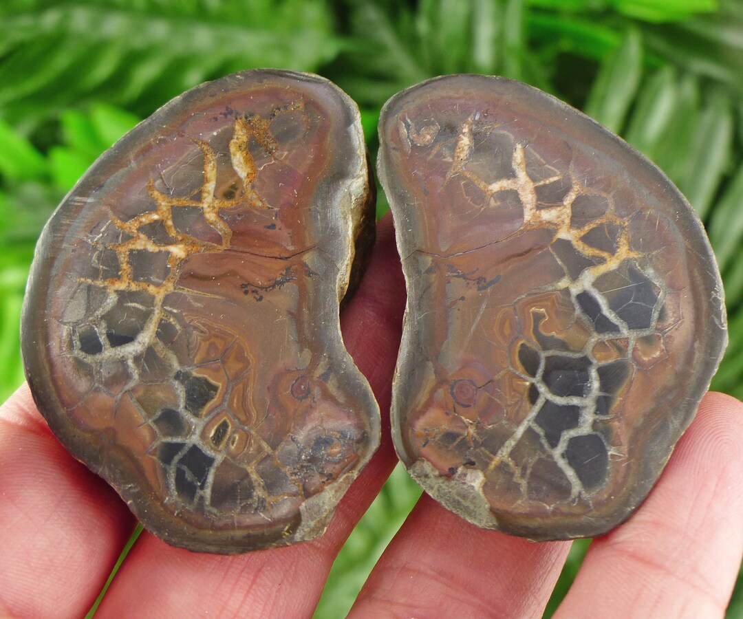 Dragonstones Pair, Septarian Nodule Geode, Septaria, Dragonstone ...