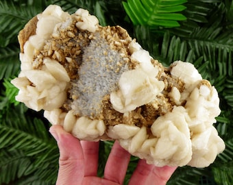 May include: A natural mineral specimen featuring clusters of creamy white, crystalline formations. The specimen has a light blue and brown matrix, with a rough, textured appearance. The background is a mix of green foliage.