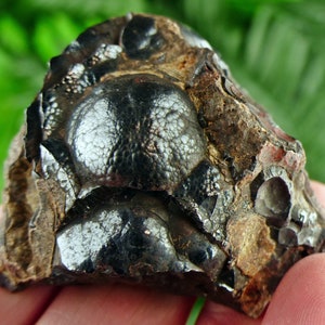 Hematite, Black Hematite, Raw Crystal, Natural Mineral, Spirituality Crystal, Mineral Specimen B1916