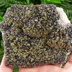Only In Our Store Rare Amethyst with Chalcopyrite From Famous Chala Mine, Bulgaria, Crystal, Mineral B2580
