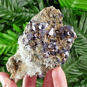 May include: A mineral specimen featuring a cluster of metallic, dark gray, and silver crystals. The crystals are set against a matrix of beige and clear quartz-like formations. The background is a blurred green.