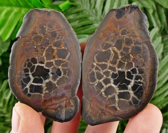 Dragonstone Pair, Septarian Nodule, Septaria Geode, Aragonite,  Natural Mineral, Raw Crystal, Limestone, Rare Mineral, Dragon Stone