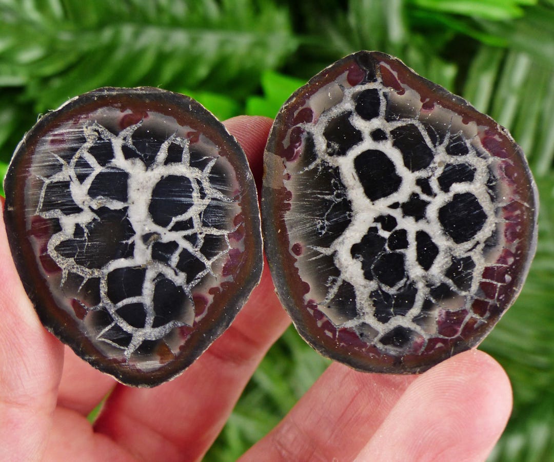 Dragonstones Pair, Septarian Nodule Geode, Septaria, Dragonstone ...