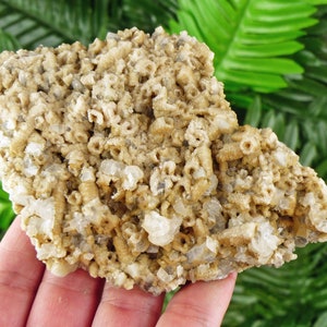 Rare Two Generation Calcite Crystals, Raw Crystal, Natural Mineral, Spirituality Crystals, Mineral Stone B1906