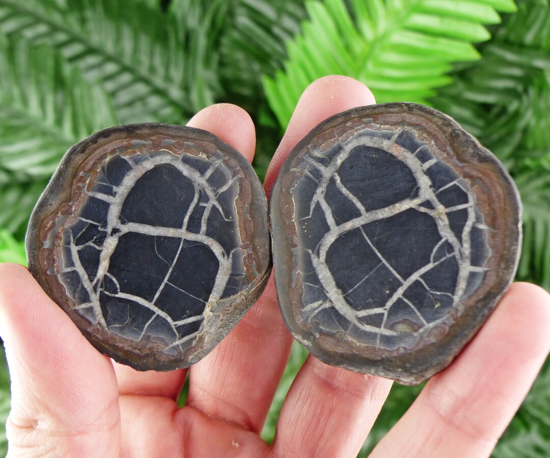 Dragonstones Pair, Septarian Nodule Geode, Septaria, Dragonstone ...