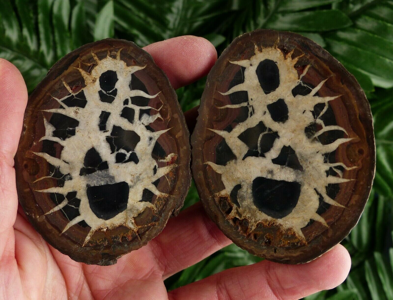 Home Décor Home & Living Dragonstone Dragon Stone Healing Stone ...