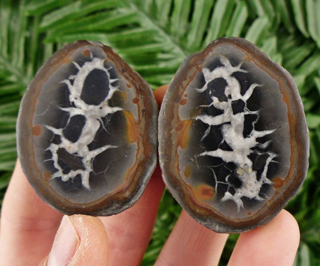 Dragonstone Pair, Septarian Nodule, Septaria Geode, Aragonite, Natural ...