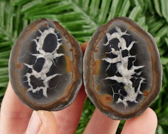 Dragonstone Pair, Septarian Nodule, Septaria Geode, Aragonite,  Natural Mineral, Raw Crystal, Limestone, Rare Mineral, Dragon Stone S219