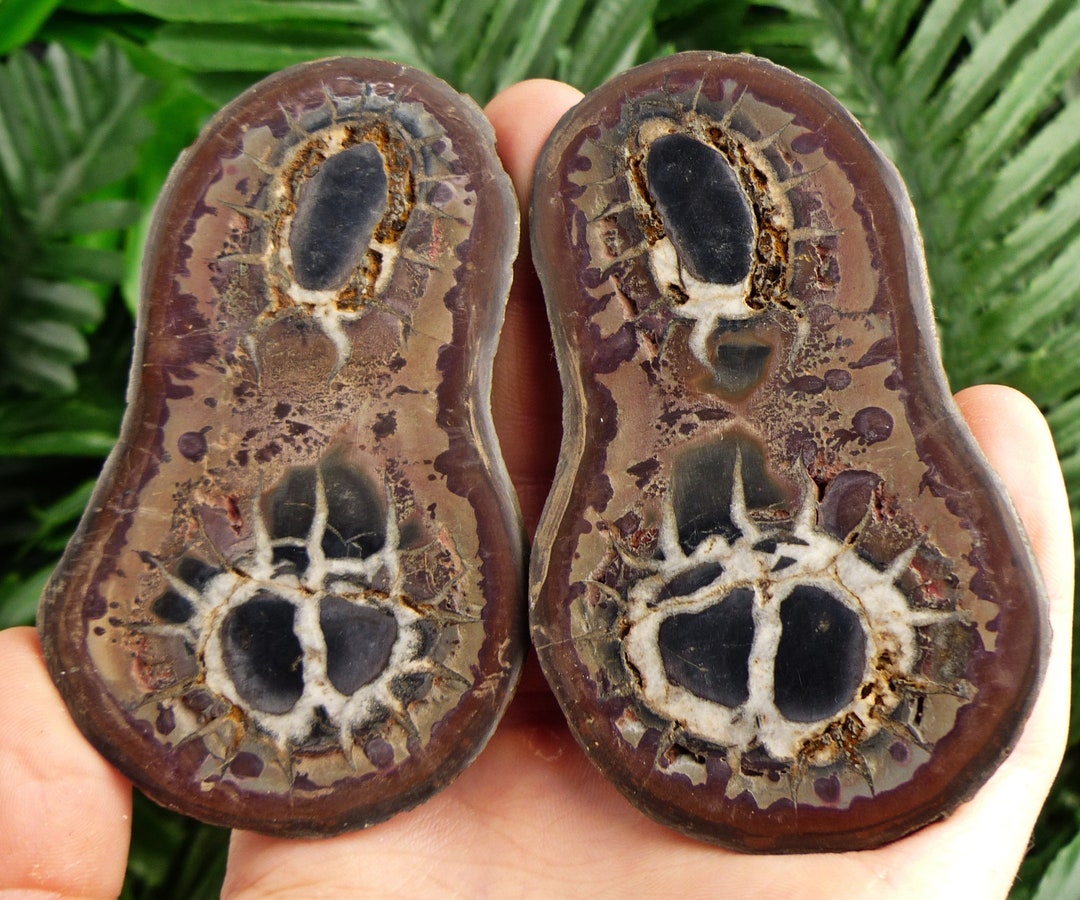 Septaria Geode Dragonstones Pair Septarian Nodule Geode Septaria - Etsy