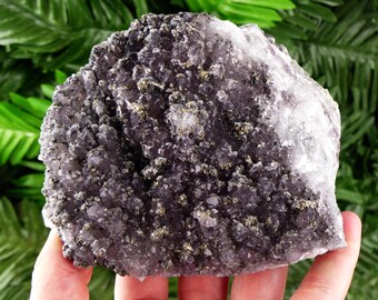Amazing Amethyst with Pyrite Crystal, Raw Crystal, Natural Mineral, Healing Crystal, Mineral Specimen B3522