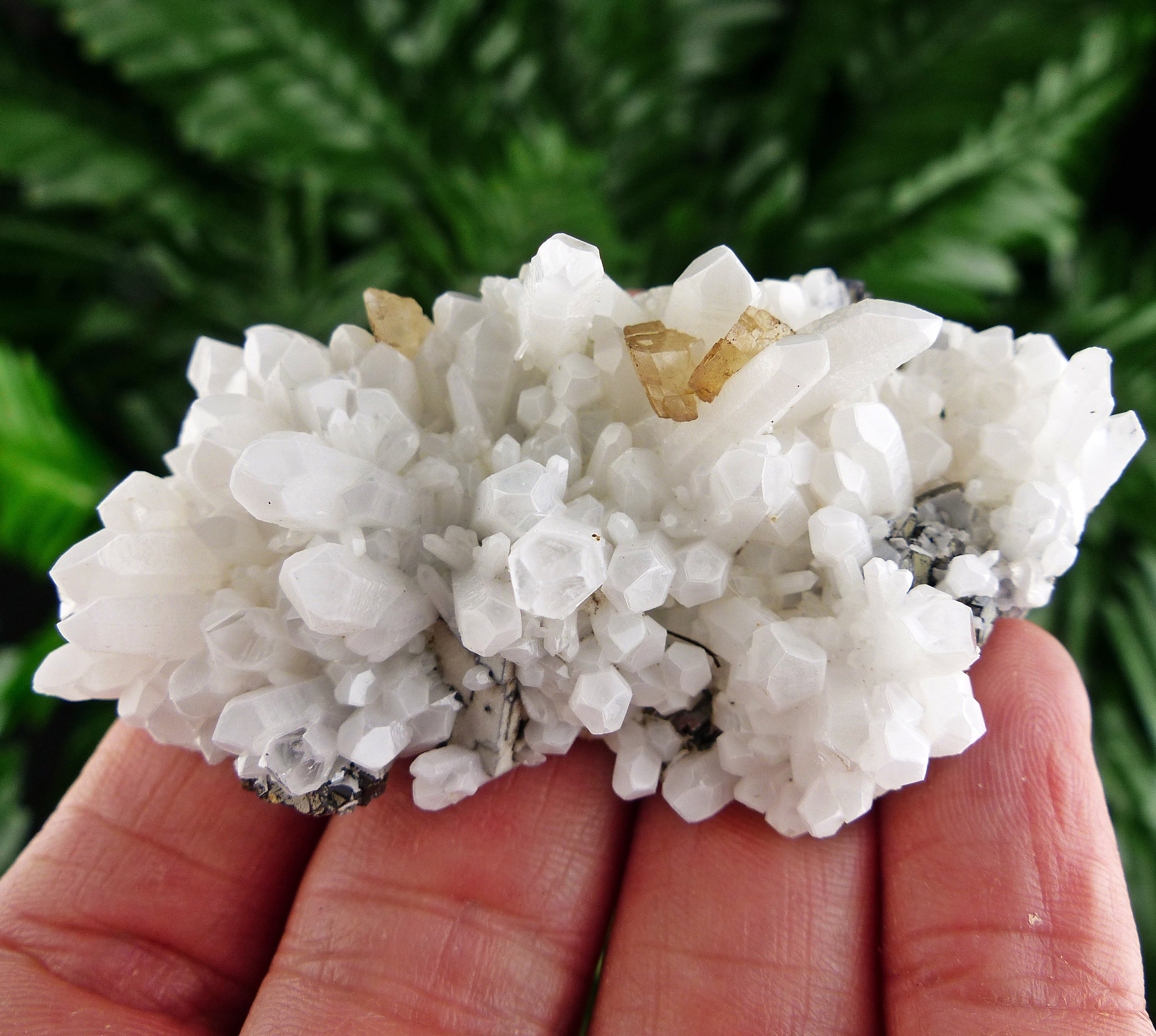 Amazing Milky Quartz with Calcite Crystal Mineral Natural Etsy