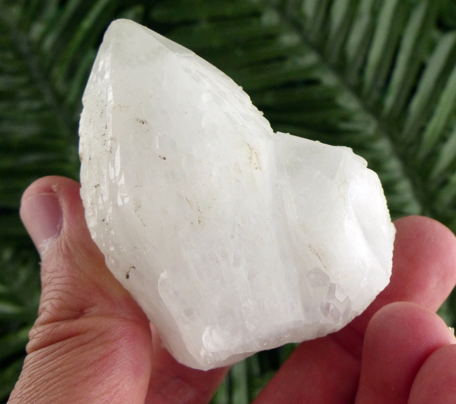 Amazing Milky Quartz Crystals Mineral Natural Crystal Raw Etsy
