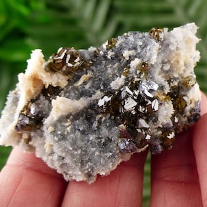Peut inclure: Un spécimen minéral naturel présentant des amas de cristaux sombres et brillants dans des tons bruns et argentés, sur fond de matrice cristalline grise et blanche. Le minéral est tenu dans une main, avec un arrière-plan vert flou.