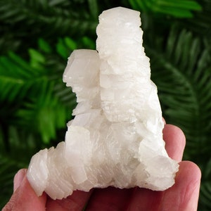 Rare and Amazing Fluorescent Calcite Crystal  with Chlorite and Quartz on back side, Raw Crystal, Natural Mineral,  Mineral Specimen B2983