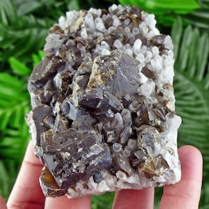 Big Gem Sphalerite var. Cleiophane on Quartz, Sphalerite, Raw Crystals, Natural Minerals, Crystal Cluster B868