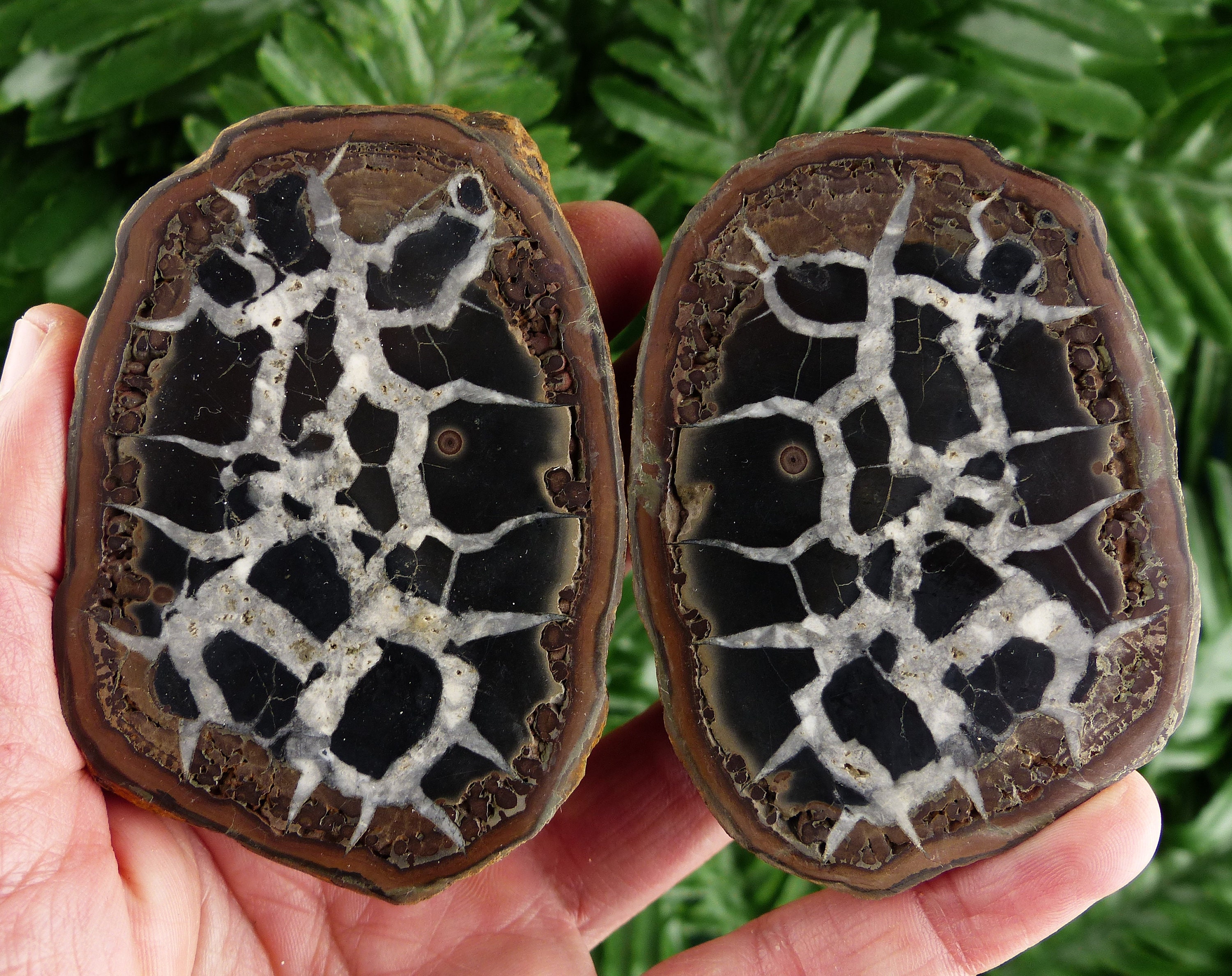 Home Décor Home & Living Dragonstone Dragon Stone Healing Stone ...