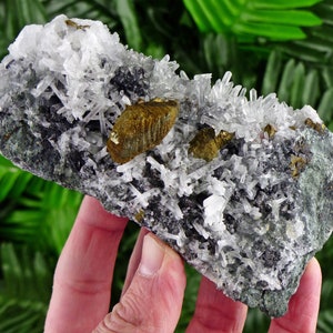 Amazing Quartz with Chalcopyrite, Raw Crystal, Natural Mineral, Healing Crystal, Spirituality Crystal, Mineral Specimen B2150