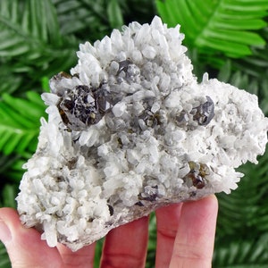 May include: A cluster of quartz crystals with dark brown and green garnet crystals. The quartz is clear and the garnets have a reflective surface. The mineral specimen is set against a green background.