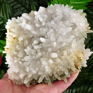 Top Quality Quartz with Pyrite, Crystals, Minerals, Natural Crystals, Pyrite, Fool&#39;s Gold, Clear Quartz, Quartz Crystals