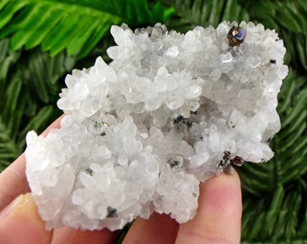 Quartz, Chalcopyrite, Rare Crystal, Natural Mineral, Raw Crystal, Quartz Cluster, Healing Stone, Mineral Specimen S220