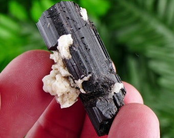 Black Tourmaline with Feldspar, Tourmaline Crystal, Natural Crystal, Natural Tourmaline, Mineral, Black Tourmaline B1773
