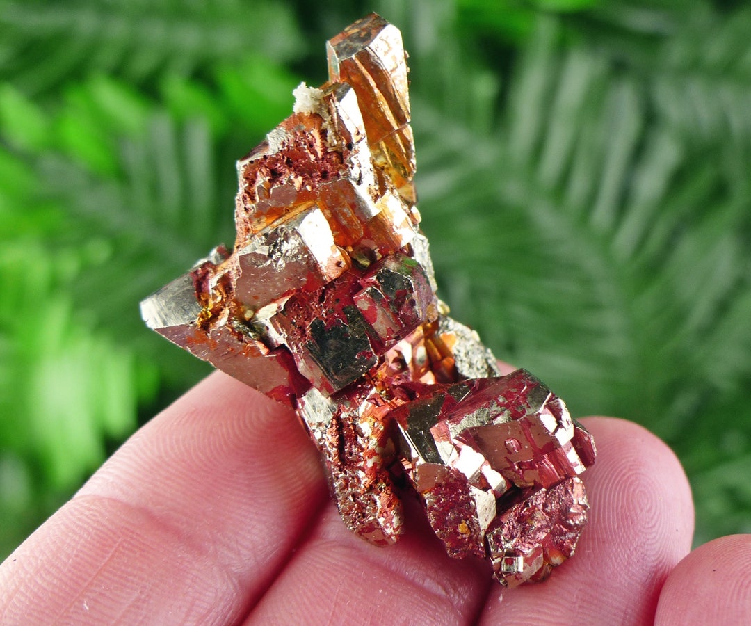 Amazing and Rare Golden Yellow Pyrite Crystallization With Hematite ...