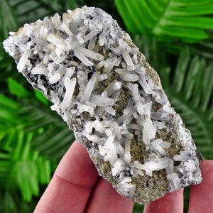 Rare Quartz with Chlorite, Raw Crystal, Natural Mineral, Natural Crystal, Quartz Cluster, Chlorite B435