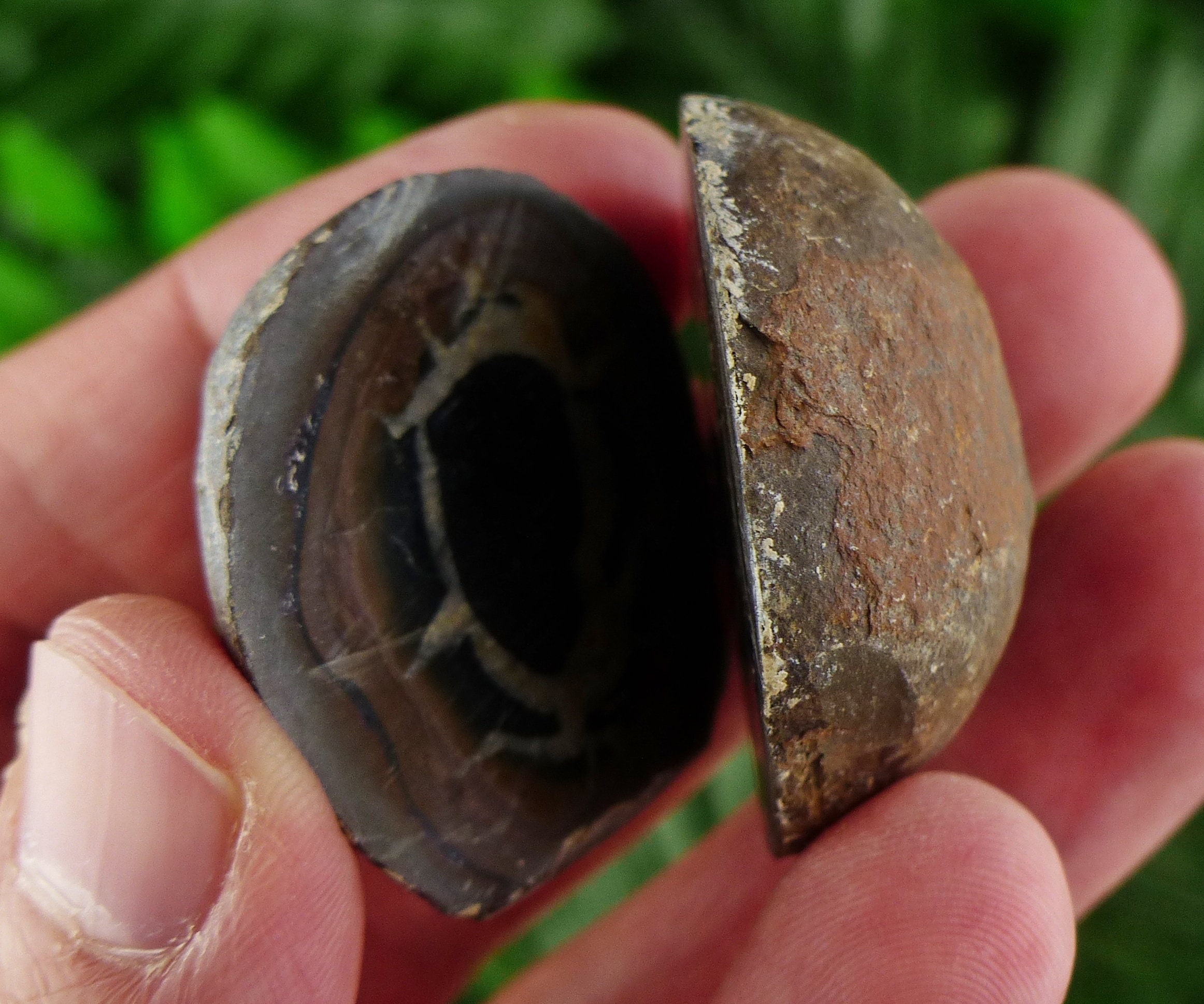 Septaria Geode Dragonstones Pair, Septarian Nodule Geode, Septaria, Dragonstone ...