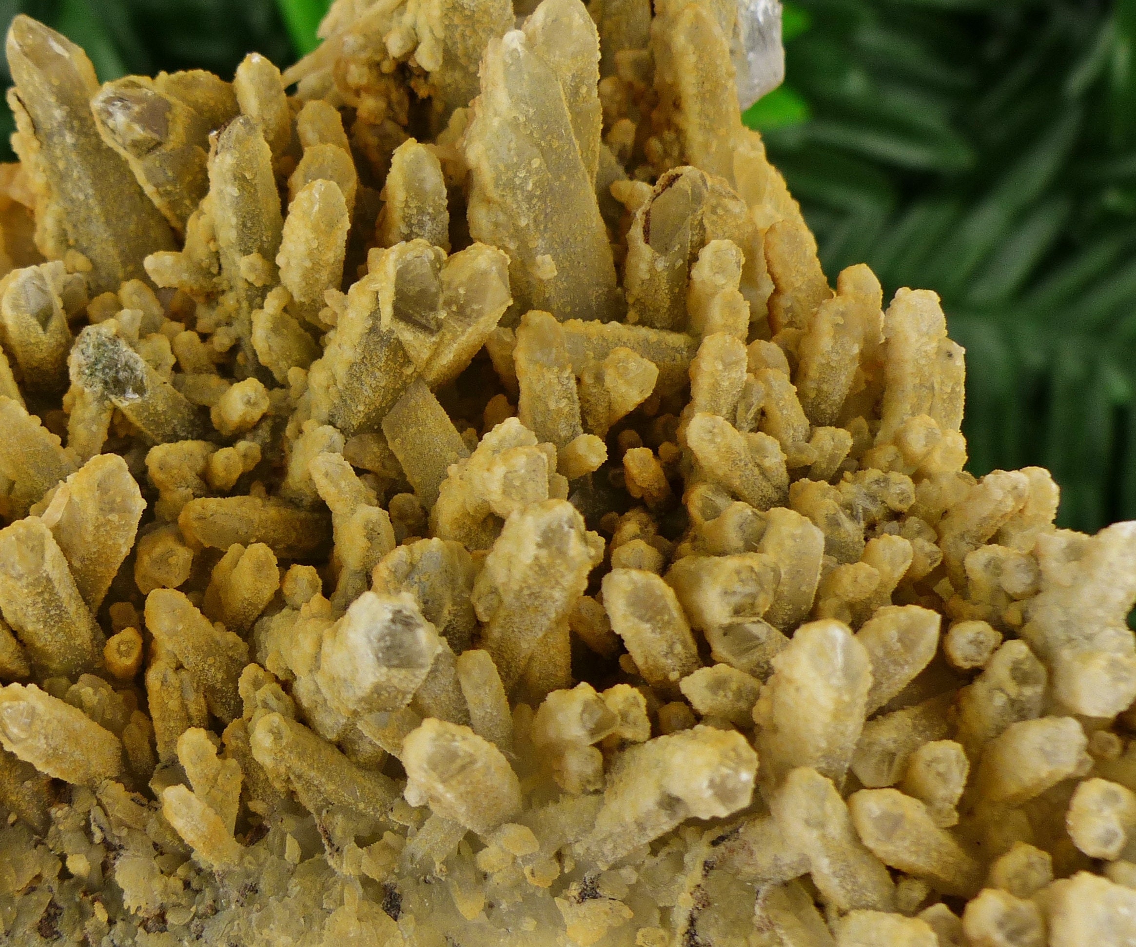 画材 Iron Quartz Genuine 画材 Iron Quartz Genuine ZX-MKII-Utility__10534.