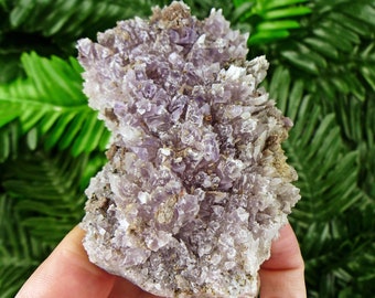 Amethyst, Rare Amethyst, Raw Crystal, Natural Mineral, Healing Crystal, Mineral Specimen, Crystal Cluster, Chala Mine Bulgaria S242