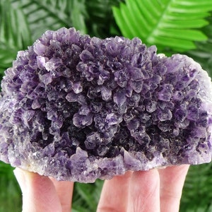 Rare Amethyst from Bulgaria, Bulgarian Amethyst Amazing Color , Crystal, Mineral, Amethyst Crystal, Amethyst Mineral, Amethyst
