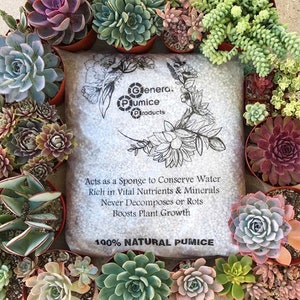 13lb. Bag Garden Pumice (Great for Succulent Gardening!)