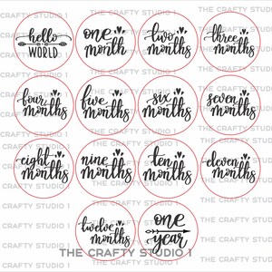 Baby Milestone SVG Bundle by Oxee, Newborn Sign Svg, Nine Months Svg ...
