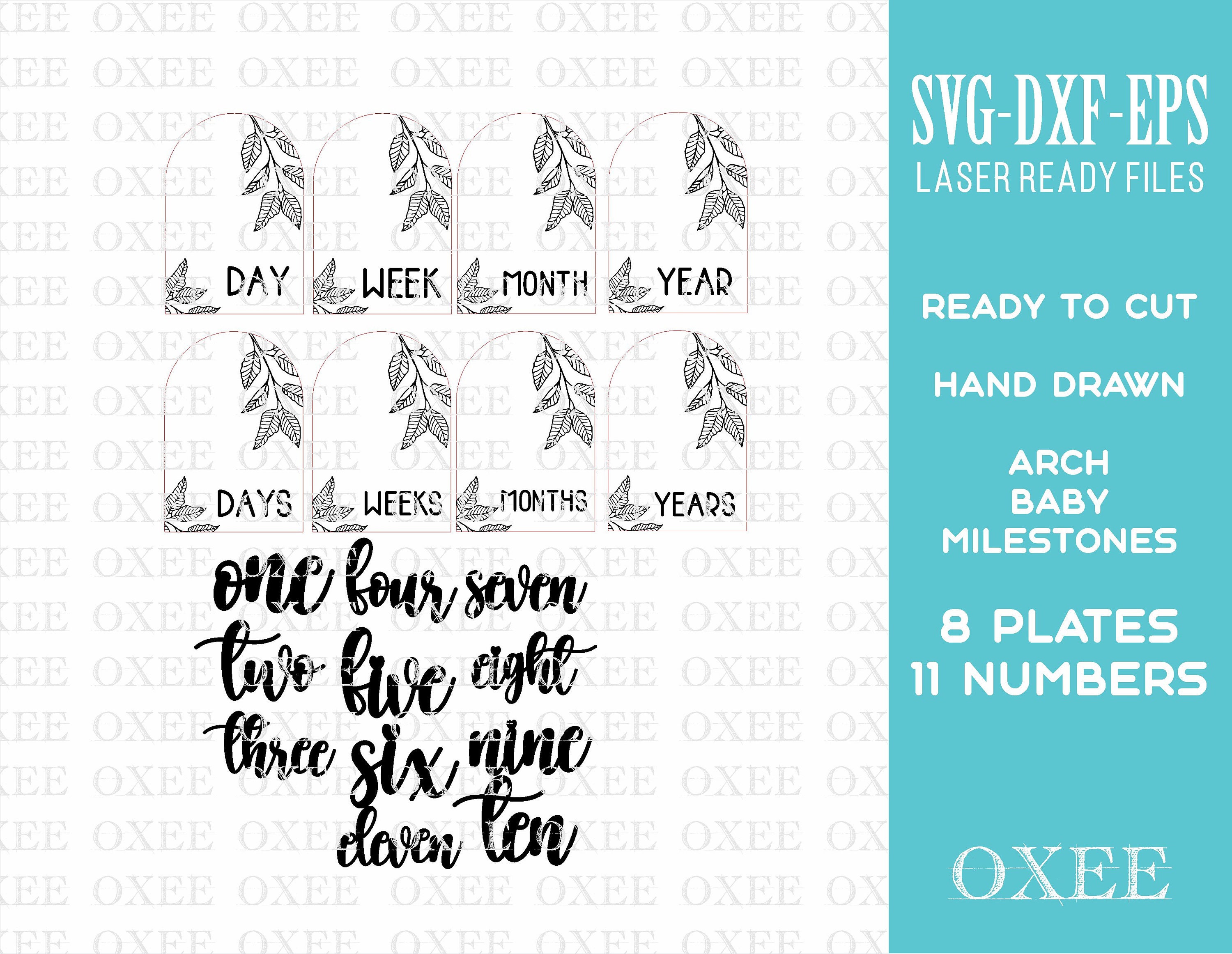 Arch Baby Milestone SVG Bundle, Floral Newborn Photo Sign (digital ...
