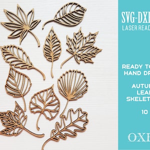 Hand getekende gelaagde blad SVG bundel door Oxee, blad skelet SVG, lasergesneden herfstbladeren SVG, Glowforge SVG, lasergesneden bestand