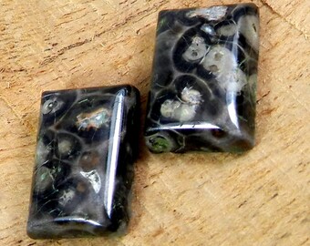 Natural Turtella Jasper Cabochon: 18x12mm Rectangle Gemstone
