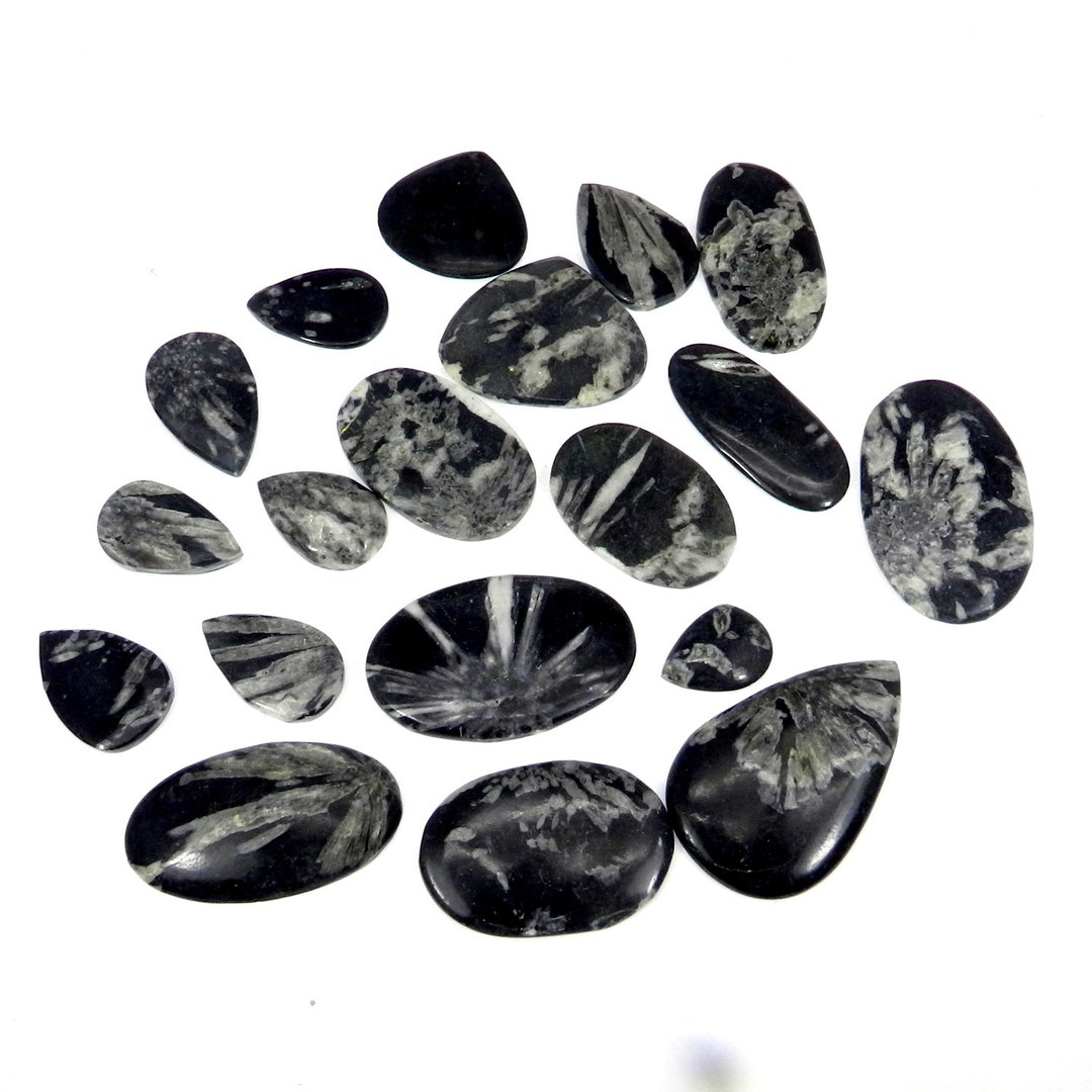 Wholesale Lot Semi Precious Stone Chrysanthemum Jasper Mix Shape Loose