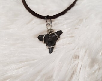 Shark Tooth Necklace