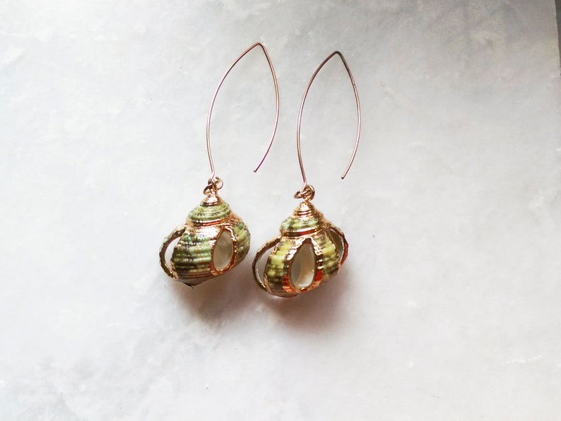 rose gold shell earrings