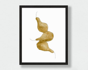 Bosc pears kitchen wall decor, modern minimal art print, pear watercolor painting