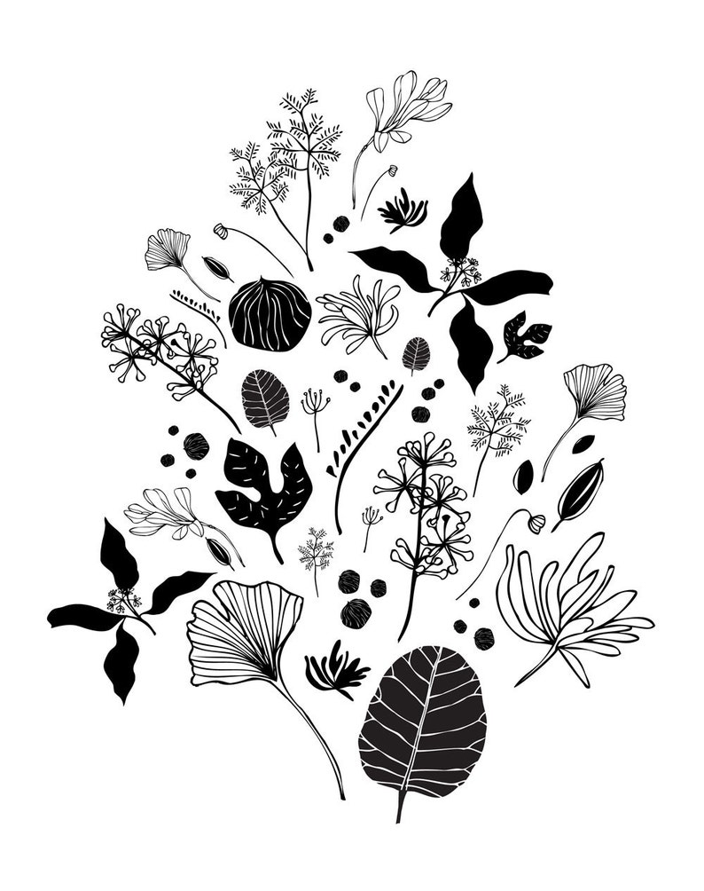 Botanical Plant Print, Modern Plant Wall Decor, Print, Black Flower