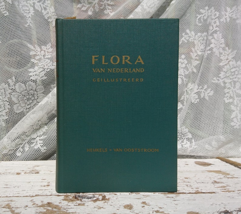 Flora Of The Netherlands By Hale S J Van Oost Stream Wolters Etsy