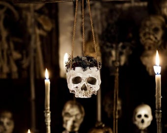 Hanging Moss and Crystal Skull Planter